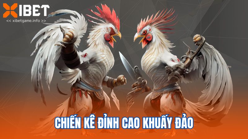 Chiến kê đỉnh cao khuấy đảo