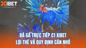 Đá Gà Trực Tiếp C1 XIBET - Lợi Thế Và Quy Định Cần Nhớ